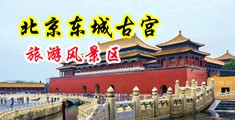 双男操逼中国北京-东城古宫旅游风景区